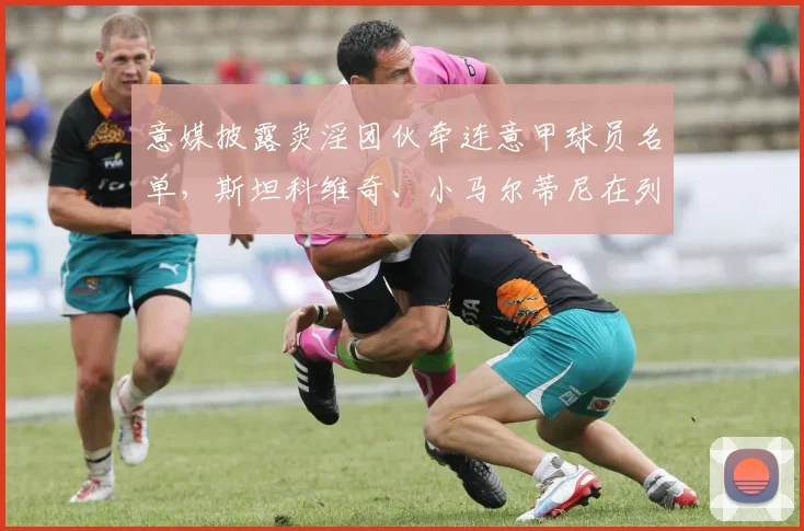 意媒披露卖淫团伙牵连意甲球员名单，斯坦科维奇、小马尔蒂尼在列